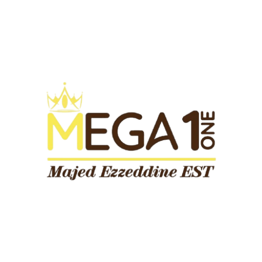 cropped megaone logo removebg preview.png